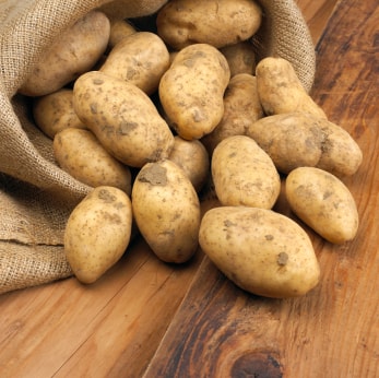 Backofen-Herzogin-Kartoffeln