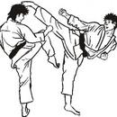 Kickboxen