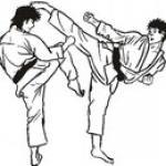 Kickboxen