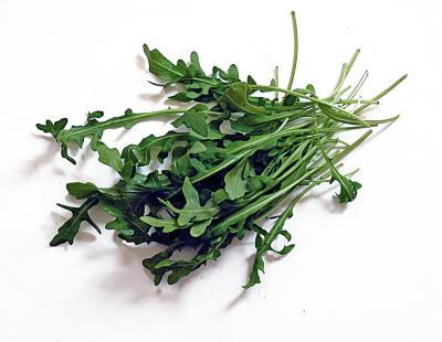 Rucola, frisch